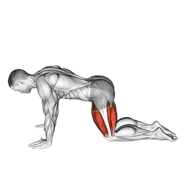All Fours Squad Stretch exercise animated demonstration