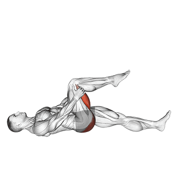 Leg Up Hamstring Stretch exercise animated demonstration