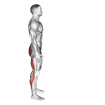 Runners Stretch exercise animated demonstration