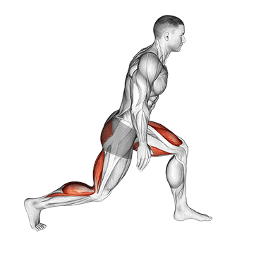 World Greatest Stretch exercise animated demonstration