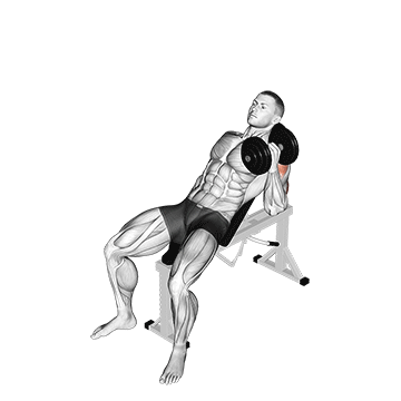 Dumbbell Incline One Arm Hammer Press