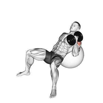 Dumbbell Incline One Arm Hammer Press On Exercise Ball exercise animated demonstration