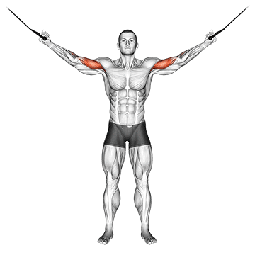 Cable Overhead Curl exercise animated demonstration