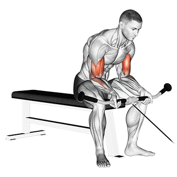 Cable Seated Curl exercise animated demonstration
