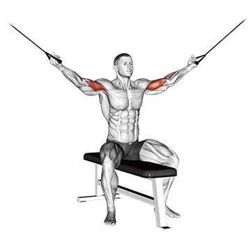 Cable Seated Overhead Curl exercise animated demonstration