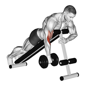 Dumbbell One Arm Reverse Spider Curl exercise animated demonstration