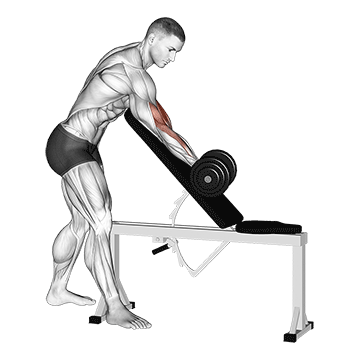Dumbbell One Arm Zottman Preacher Curl