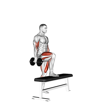 Dumbbell Step Up Single Leg Balance With Bicep Curl exercise animated demonstration