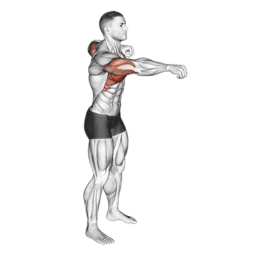 Push And Pull Bodyweight exercise animated demonstration