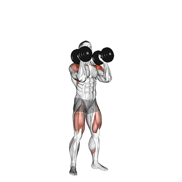 Dumbbell Push Press exercise animated demonstration