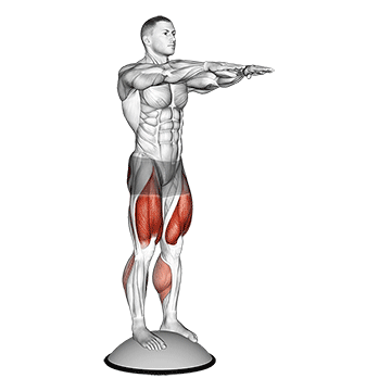 Squat On Bosu Ball exercise animated demonstration