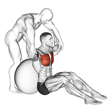 Assisted Seated Pectoralis Major Stretch With Stability Ball exercise animated demonstration