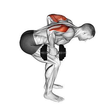 Dumbbell Standing Bent Over Two Arm Triceps Extension exercise animated demonstration