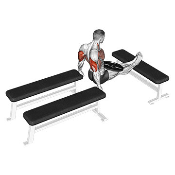 Weighted Three Bench Dips exercise animated demonstration
