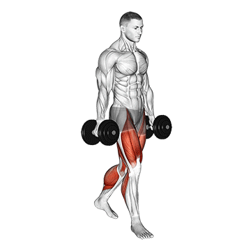 Farmers Walk exercise animated demonstration