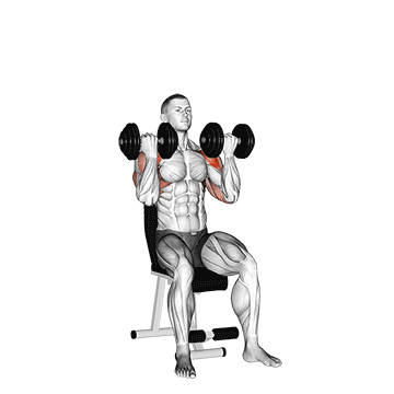 Dumbbell Arnold Press exercise animated demonstration
