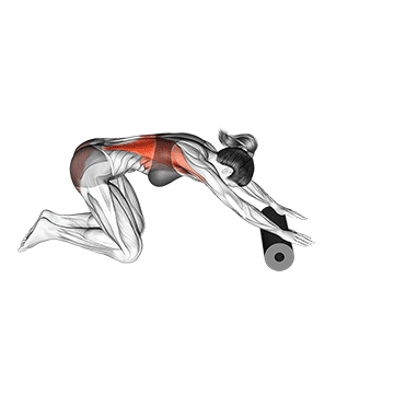 Roller Back Stretch exercise animated demonstration