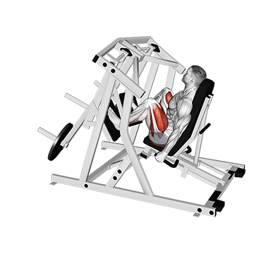 Lever Alternate Leg Press exercise animated demonstration
