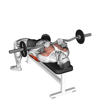 Ez-bar Close-grip Bench Press exercise animated demonstration
