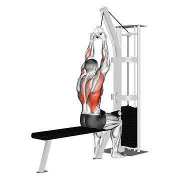 Cable Lateral Pulldown With V-bar exercise animated demonstration