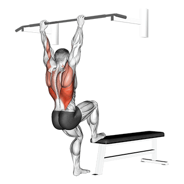 Bench Pull-ups exercise animated demonstration
