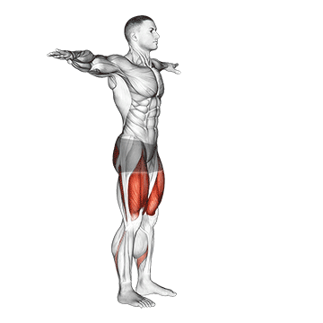 Potty Squat exercise animated demonstration