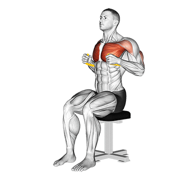 Resistance Band Seated Chest Press exercise animated demonstration