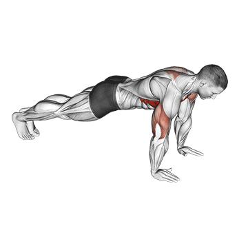 Push-up Plus exercise animated demonstration