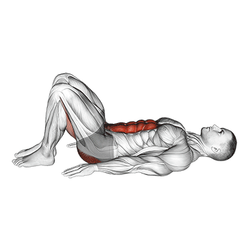 Pelvic Tilt exercise animated demonstration