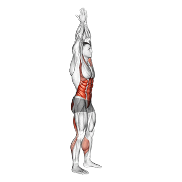 Hands Clasped Circular Toe Touch (male) exercise animated demonstration