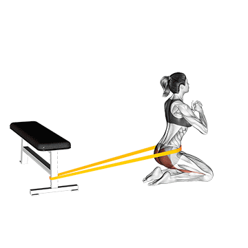 Resistance Band Hip Thrusts On Knees (female) exercise animated demonstration
