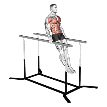 Impossible Dips exercise animated demonstration