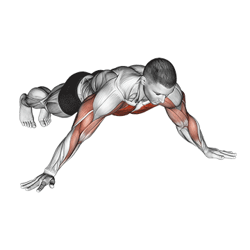 Archer Push Up exercise animated demonstration