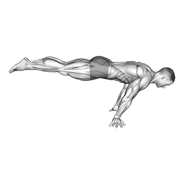 Full Planche exercise animated demonstration