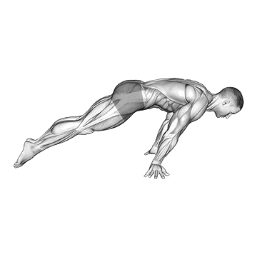 Lean Planche exercise animated demonstration