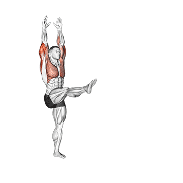 Handstand exercise animated demonstration