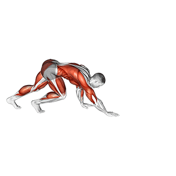 Bear Crawl exercise animated demonstration