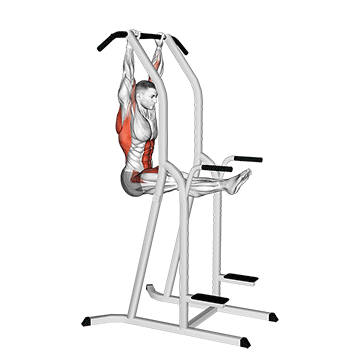 L-pull-up exercise animated demonstration