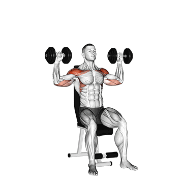 Dumbbell Seated Alternate Shoulder exercise animated demonstration