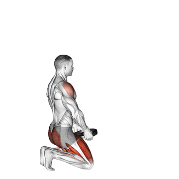 Weighted Kneeling Step With Swing exercise animated demonstration