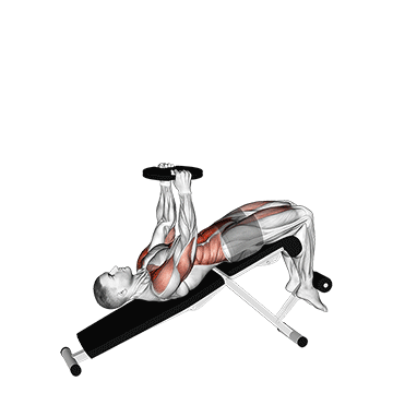 Weighted Decline Sit-up exercise animated demonstration
