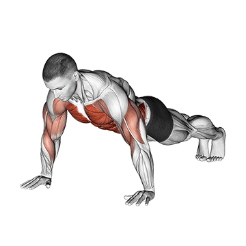 Shoulder Tap exercise animated demonstration